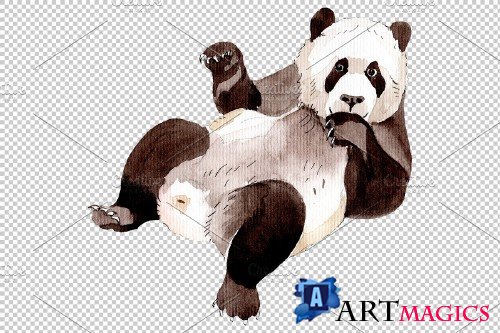 Animal panda watercolor png - 3899654