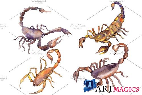 Animal world scorpion watercolor png - 3899611