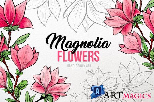 Magnolia Flowers Hand-drawn Art - 3864717