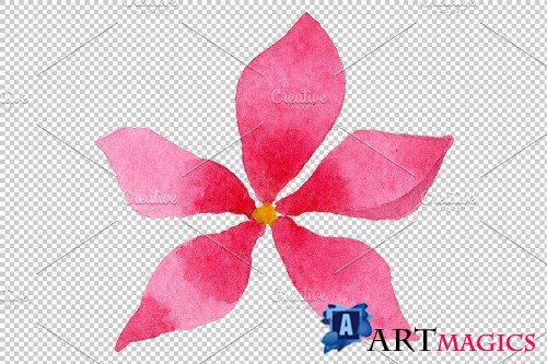 Phlox pink watercolor png - 3897668