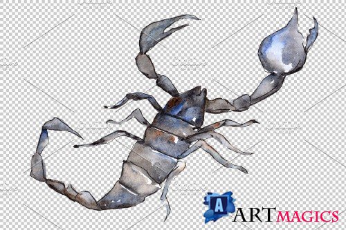 Animal scorpion watercolor png - 3899623