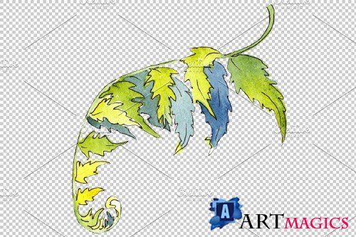 Fern plant watercolor png - 3899051
