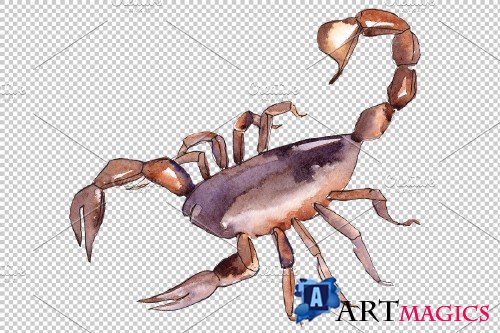 Animal world scorpion watercolor png - 3899611
