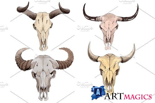 Cow skull watercolor png - 3899548