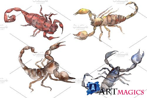 Animal scorpion watercolor png - 3899623