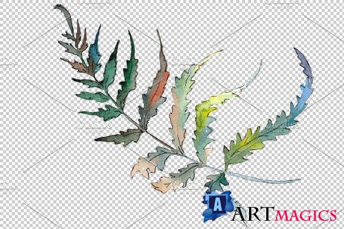 Polypodiopsis fern watercolor png - 3899081