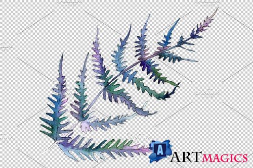 Fern plant watercolor png - 3899051