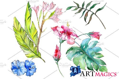 Tropical plants Watercolor png - 3899219