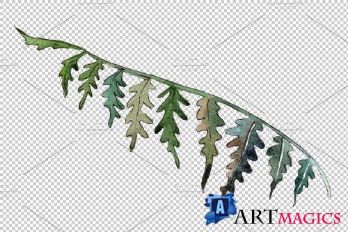 Polypodiopsis fern watercolor png - 3899081