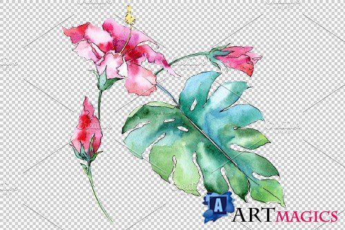 Tropical plants Watercolor png - 3899219