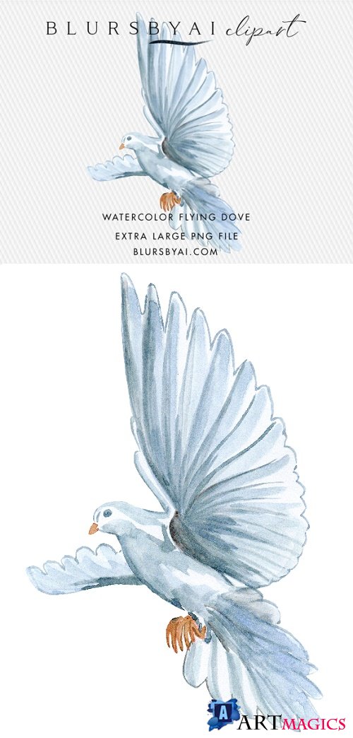 Flying Watercolor Dove Clipart