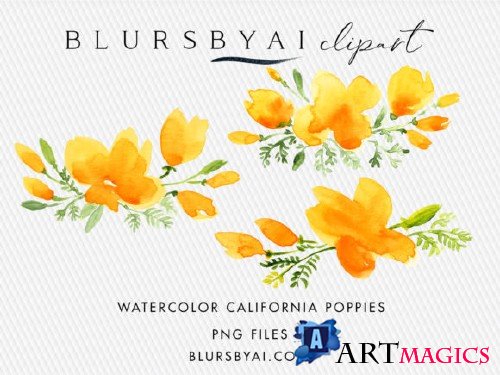 Watercolor California Poppies Clipart