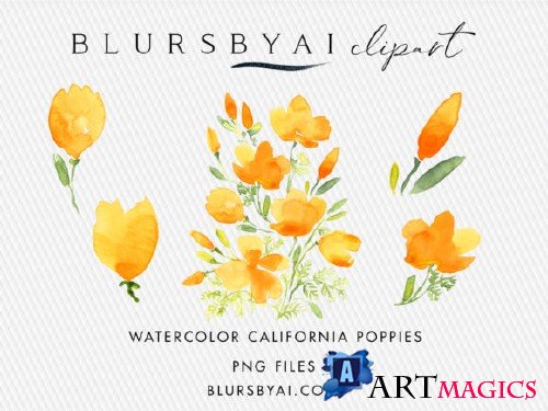 Watercolor California Poppies Clipart