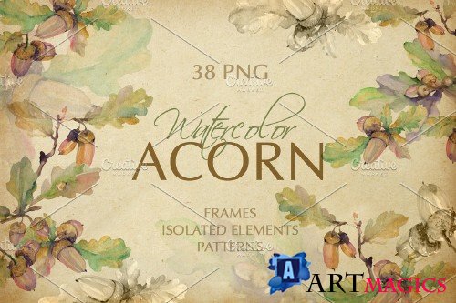 Acorn Watercolor png - 3905552