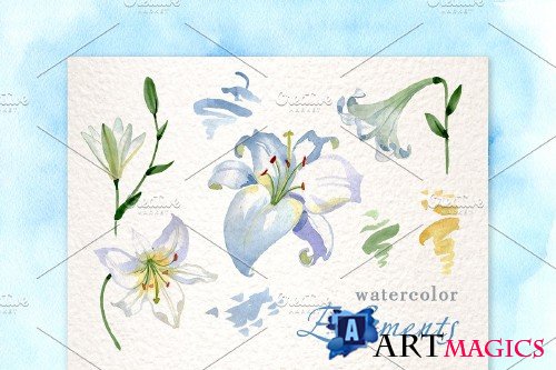 Lilies White Watercolor png - 3903767