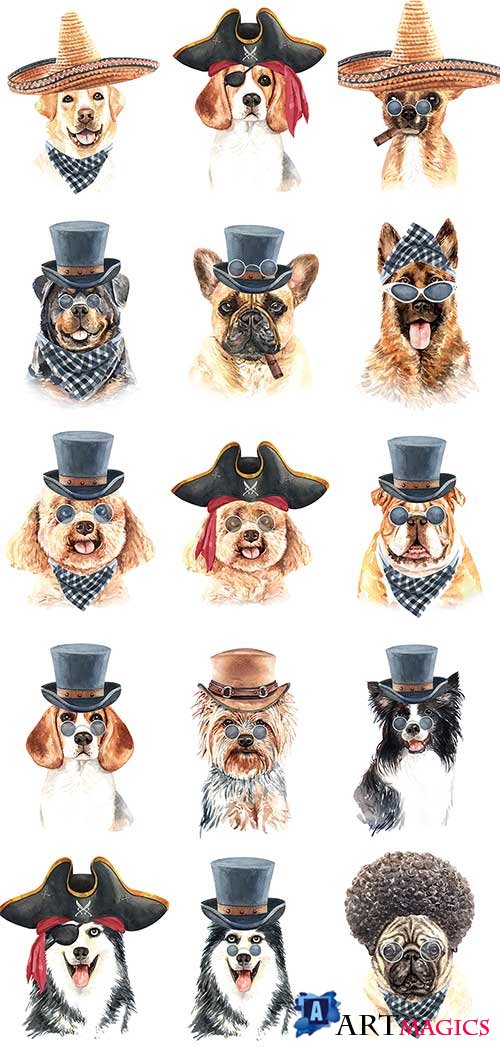    -   / Dog in hat - Vector Graphics