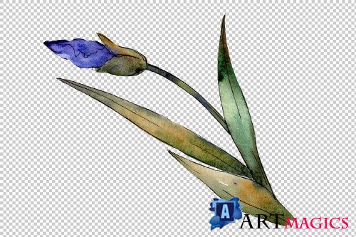 Eurobuket Irises blue watercolor png - 3916862