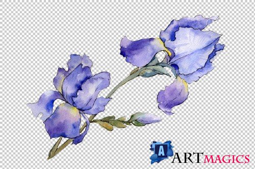 Eurobuket Irises blue watercolor png - 3916862