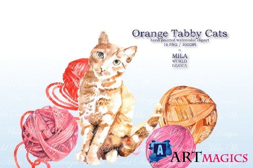 Orange tabby cat - 3839377