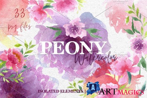 Watercolor pink peonies PNG - 3922959