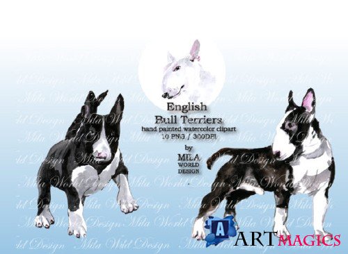 Watercolor English Bull Terriers Clip Art
