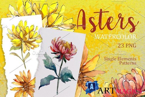 Yellow Watercolor Asters PNG set - 3928440