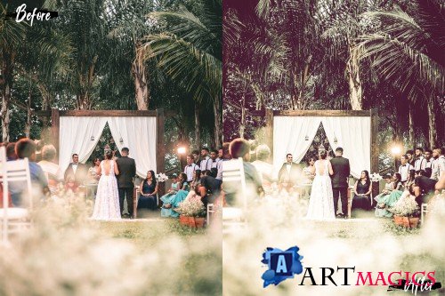 Neo Summer Wedding Theme Color Grading photoshop actions - 268300