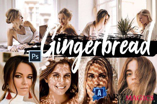 5 Gingerbread Actions, ACR and LUT presets - 290075