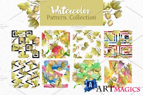 Watercolor Gooseberry PNG collection - 3931785