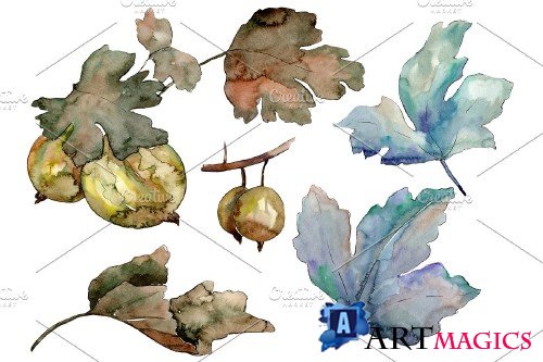 Gooseberry plant ordinary watercolor - 3942874