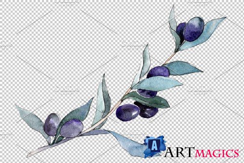 Branch olive watercolor png - 3935634