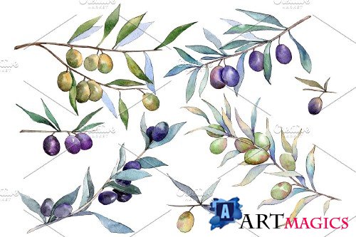 Branch olive watercolor png - 3935634