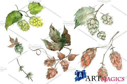 Hops plant Watercolor png - 3935451