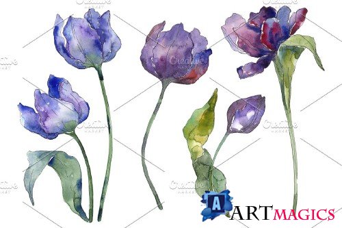 Tulips blue Watercolor png - 3934855