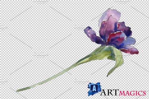 Tulips blue Watercolor png - 3934855