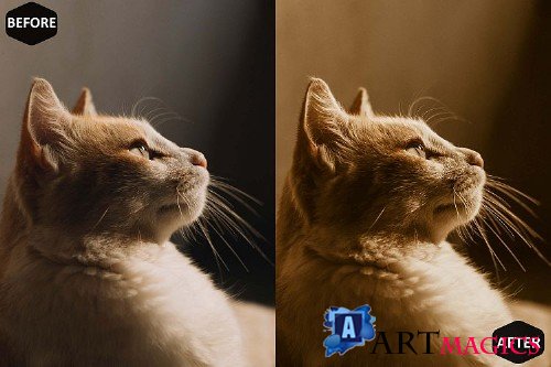 Macadamia Photoshop Actions And ACR Presets, Brown Ps action - 289082