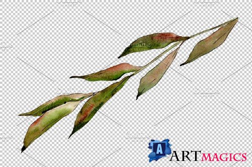 Willow branches Watercolor png - 3950883