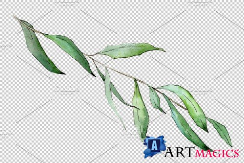 Willow branches Watercolor png - 3950883