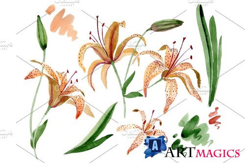 Orange lily watercolor png - 3958922