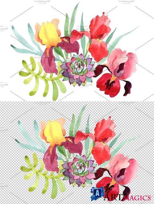 Bouquet with red irises watercolor PNG - 3954132