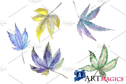 Cannabis plant watercolor png - 3958814