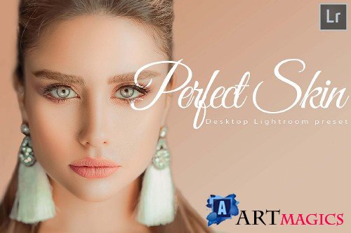 18 Perfect Skin Desktop Lightroom Presets and ACR preset - 296381