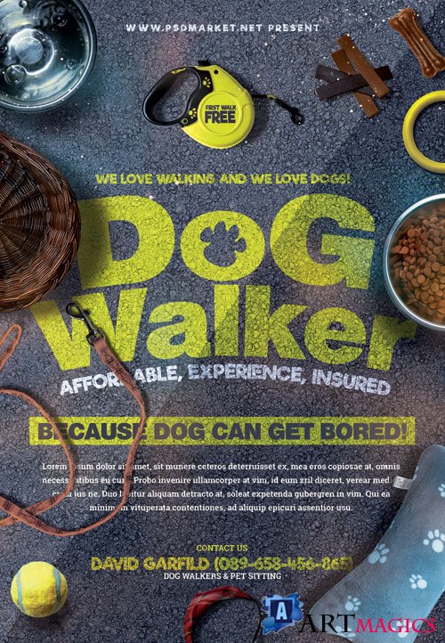 Professional dog walker - Premium flyer psd template