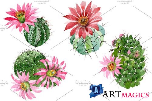 Cactus green spiny ordinary,flower - 3983915