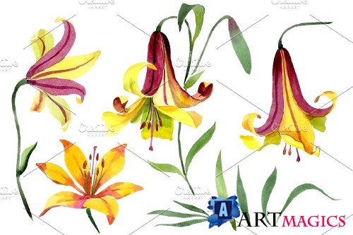 Yellow lily flower Watercolor png - 3983783