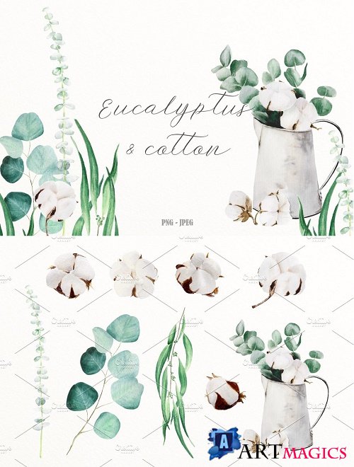 Eucalyptus & cotton watercolor set - 2578879