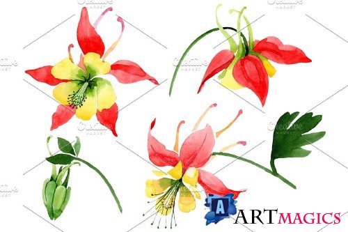 Red aquilegia flower watercolor png - 3988096