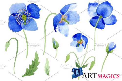 Ultramarine Poppies blue flower - 3988028