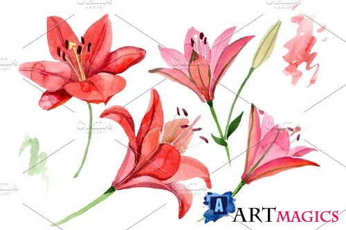 Red lily flower watercolor png - 3988103