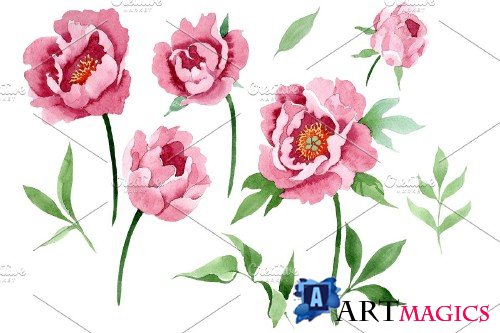 Dark red peony flower Watercolor png - 3988018